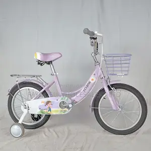 Pretty Purple Beijing Girls Bicycle Size 16