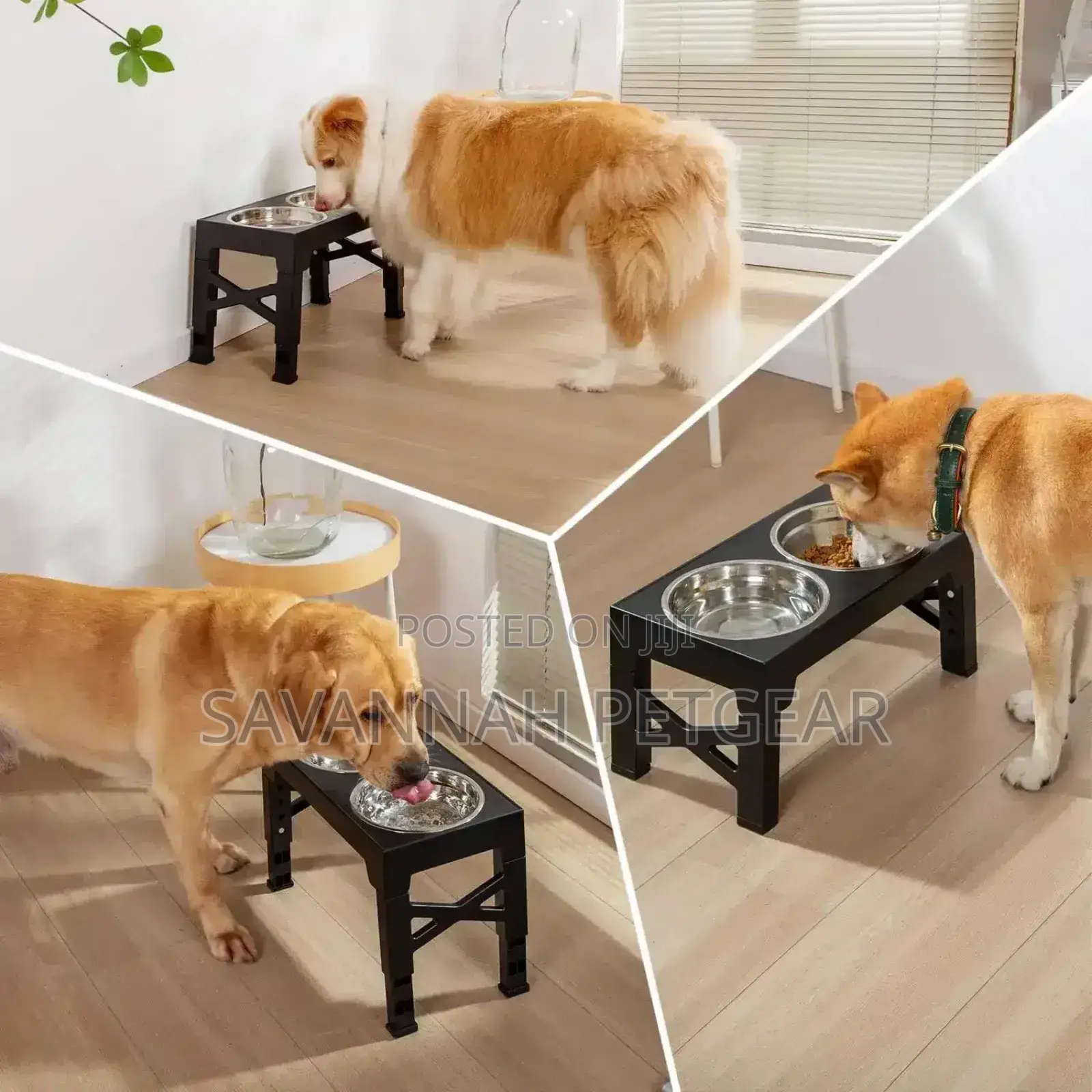 3-in-1 Adjustable Elevated Dog Cat Bowl, Adjustable Height