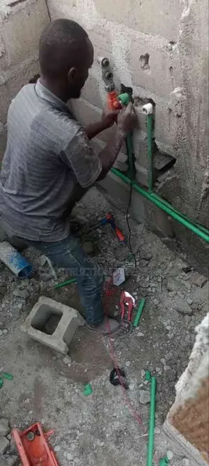 Professional Plumber