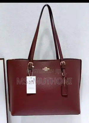 Coach Mollie Tote Bag
