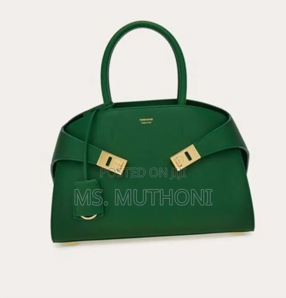 Salvatore Ferragamo Hug Handbag