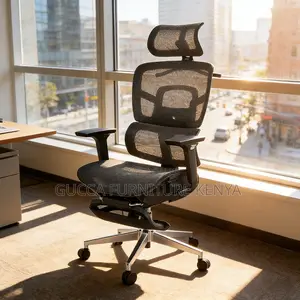 Full Mesh Orthopedic Reclining Seat With Footrest