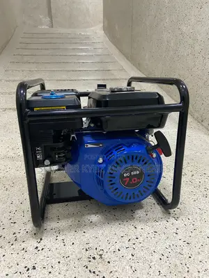 Dayliff Petol Engine Water Pump