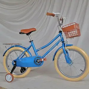 Sporty Blue Weilaxi Kids Bicycle – Ages 5-7
