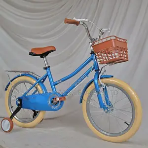 Premium Blue Weilaxi Children’S Bicycle – 5-7 Years Old