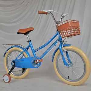 New Model Blue Weilaxi Kids Bike – 5 to 7 Year Olds
