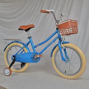 Blue Weilaxi Kids Bicycle – Ages 5-7