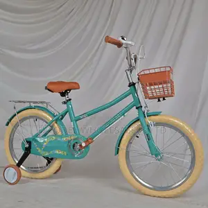 Unique Green Weilaxi Bicycle – Ages 5-7 (Size 18)