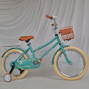 Good Quality Green Weilaxi Children’S Bicycle – 5-7 Years Old