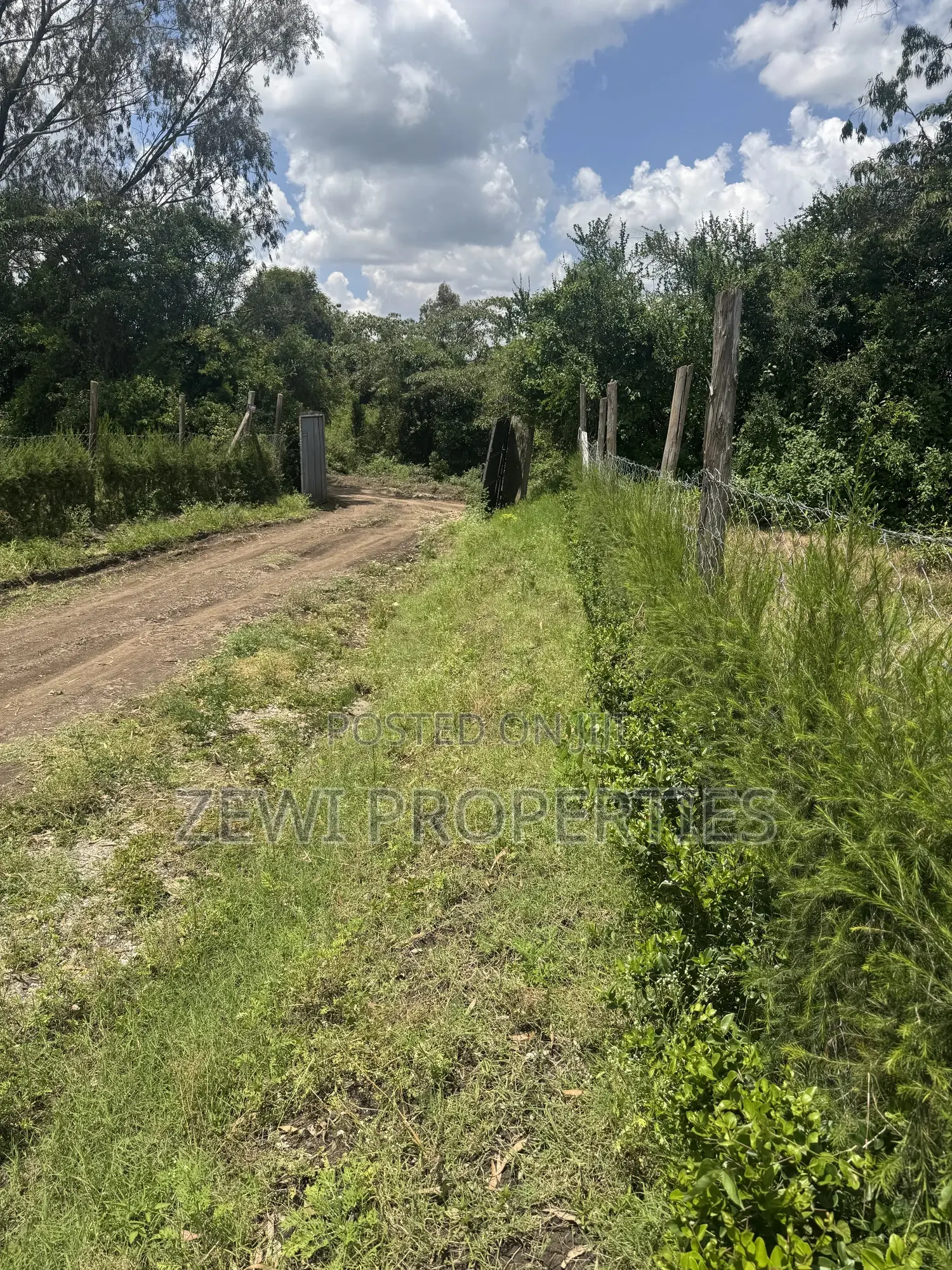 Quarter Acre Olkeri