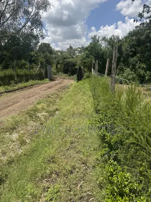 Quarter Acre Olkeri