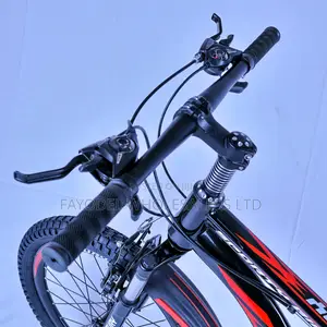 Sporty Century Kids Bike for 8-13 Years