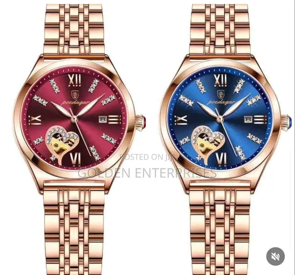 Classic Poedagar Ladies Watch #320