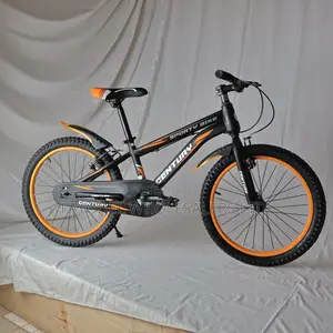 Fast Orange Century Size 20 Kids Bicycle