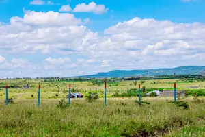 1/8 Plots in Sunshine Joska