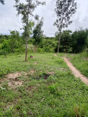Makuyu Mananja
