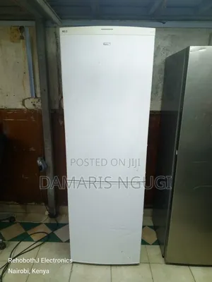 Lec Bottom Freezer Refrigerator