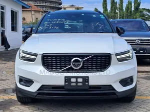 Volvo XC40 D3 Diesel AWD 2019 Pearl