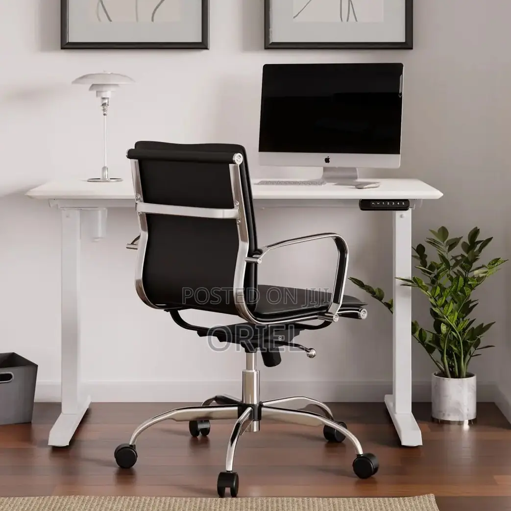 Standing Desks : Height Adjustable Electric Computer Desk