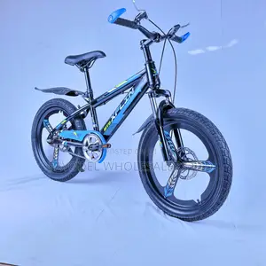 Stylish Xflin Bicycle – Size 20 Blue