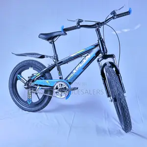 New Model Xflin Kids Bike – Blue Size 20