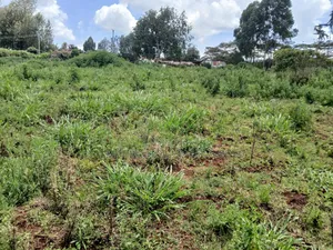 Prime 1.5 Acre on Sale in Upper Matasia 1km Off Tarmac, Red Topsoils