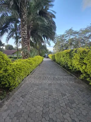 4bdrm Bungalow in Lower Kabete for rent