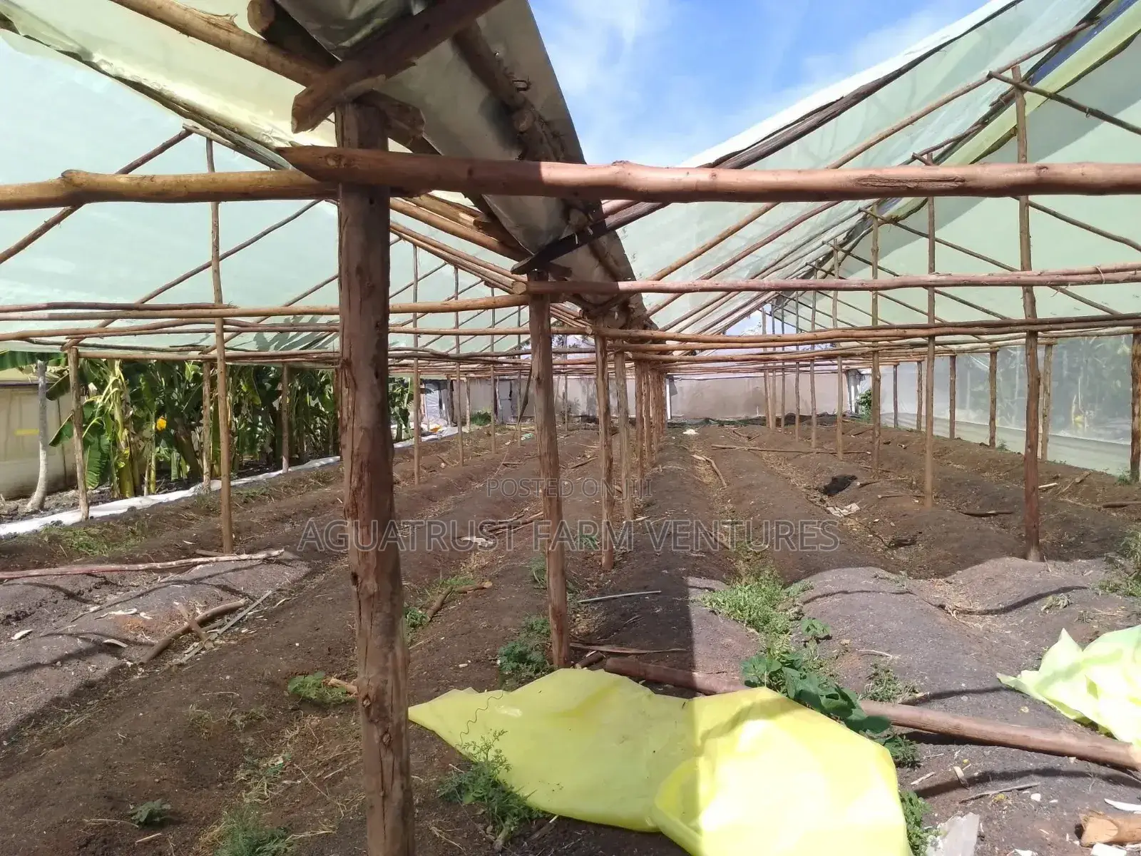 Greenhouse Installation