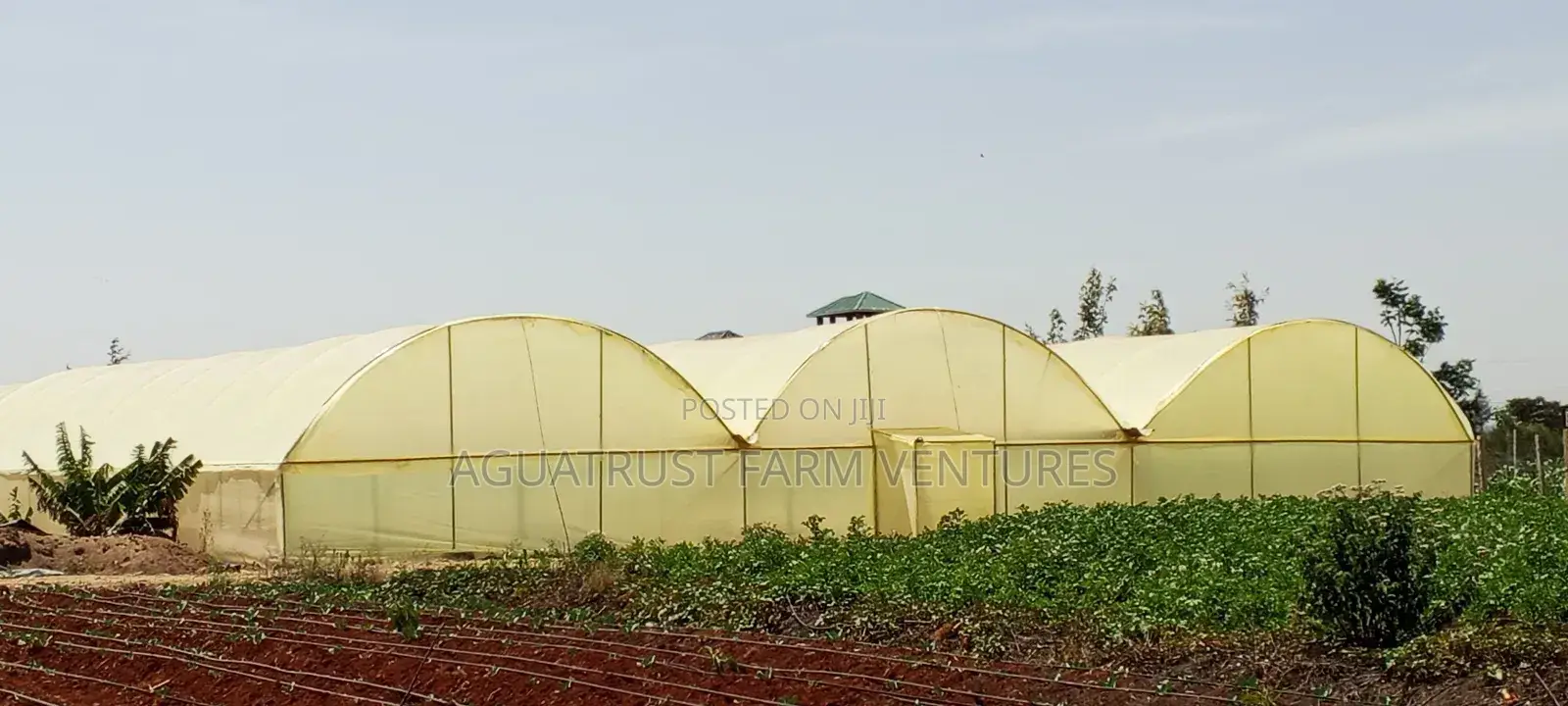 Greenhouse Installation