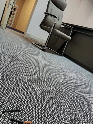 Maasai Mara Wall to Wall Carpet– Perfect for Home Office