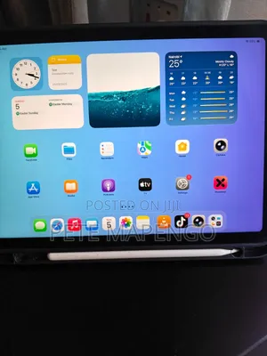 Apple iPad Air 64 GB Gray