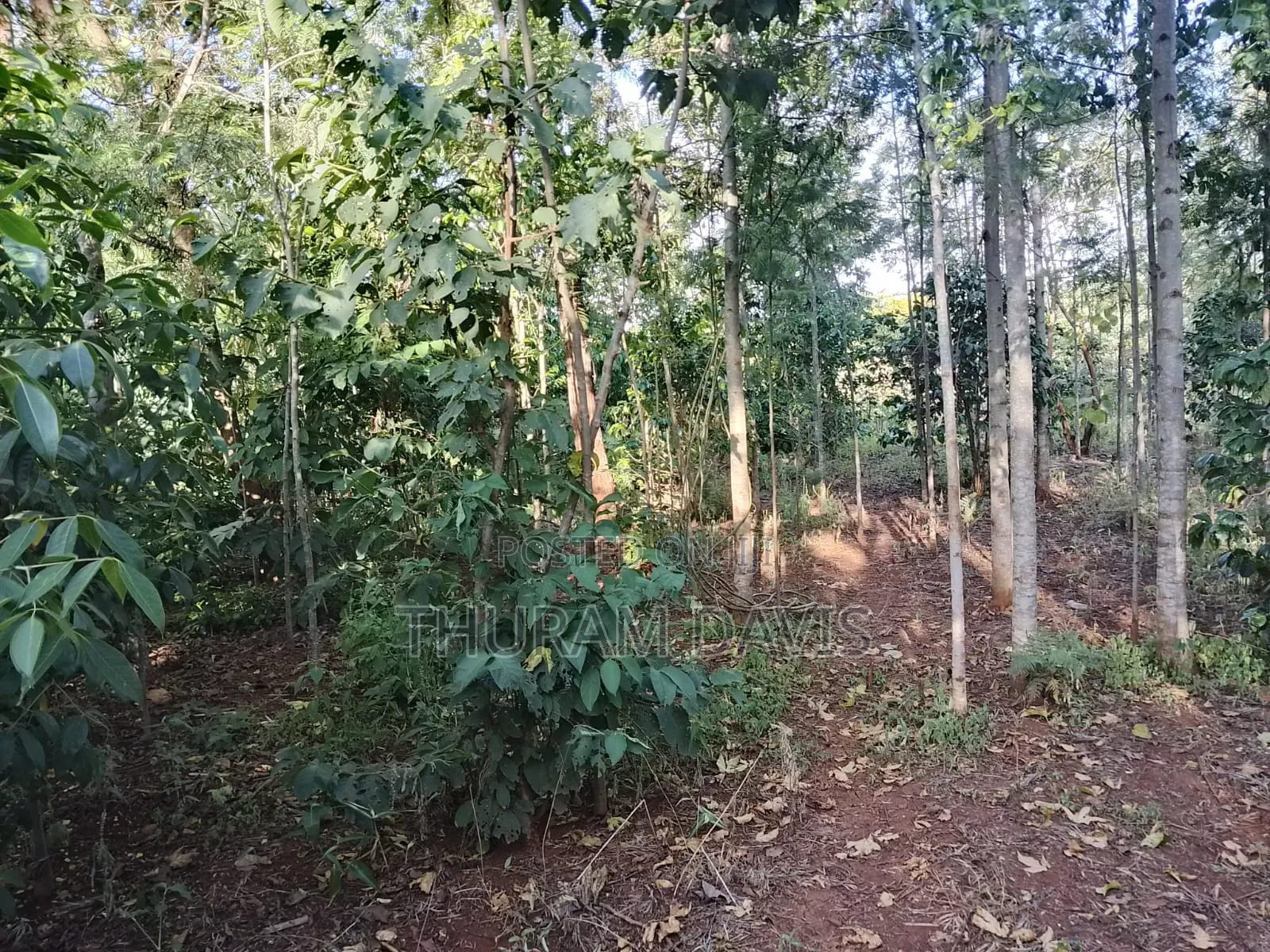 2 1⁄2acres Ruiri