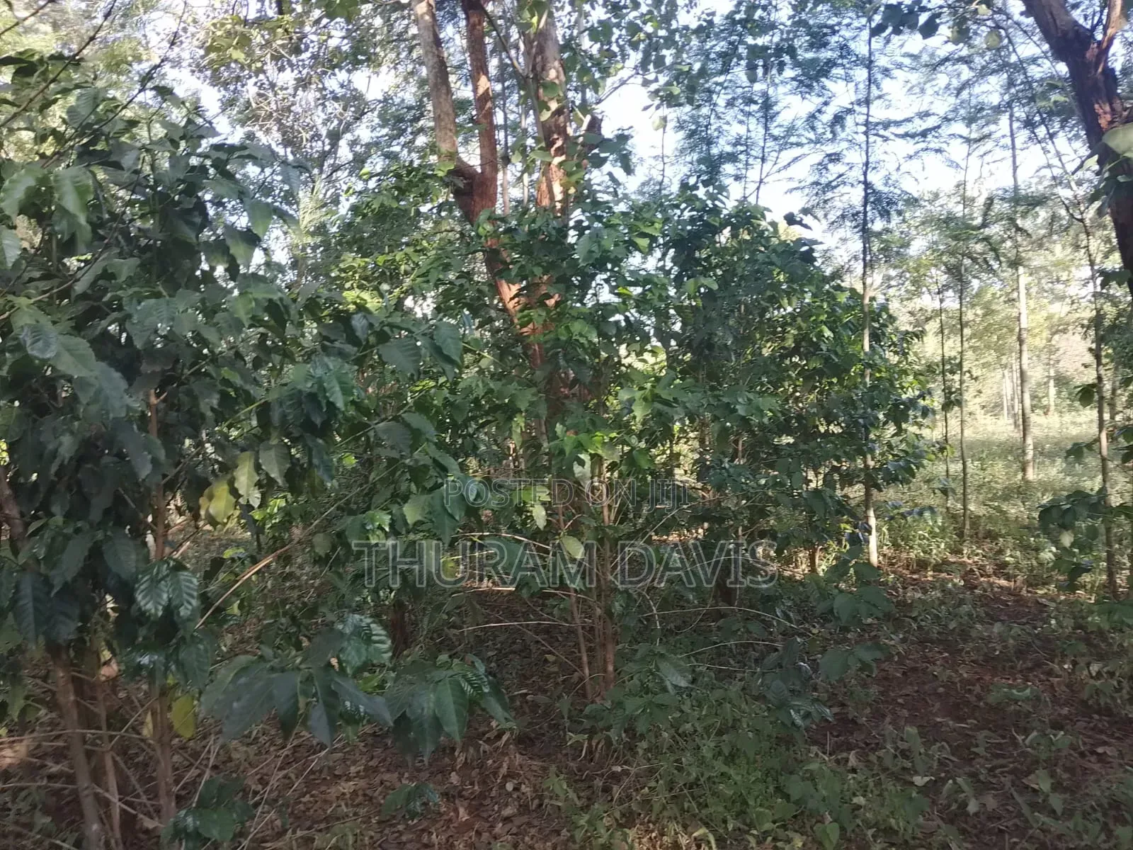2 1⁄2acres Ruiri