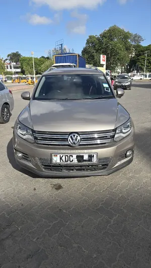 Volkswagen Tiguan 2015 Brown