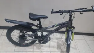 Cross Road Mountain Bike Size 24