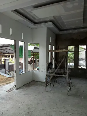 Ceiling Installer