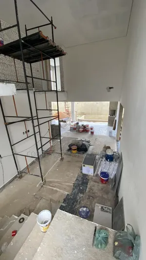 Ceiling Installer