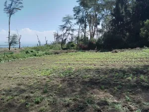 15 Acres of Land in Naivasha Touching the Lake and Tarmac