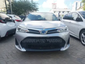 Toyota Corolla Fielder 2019 Silver