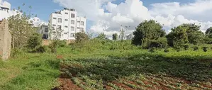 100 X 100 Plot for Sale