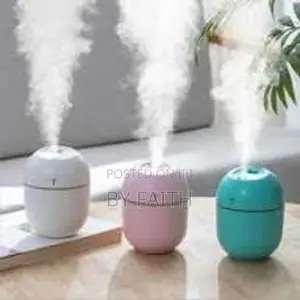 Rechargeable Car/Home Humidifier*
