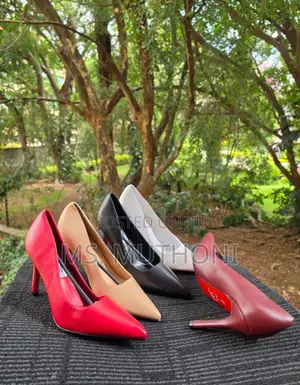 Official / Casual Wear Red Bottoms Pumps / Heels