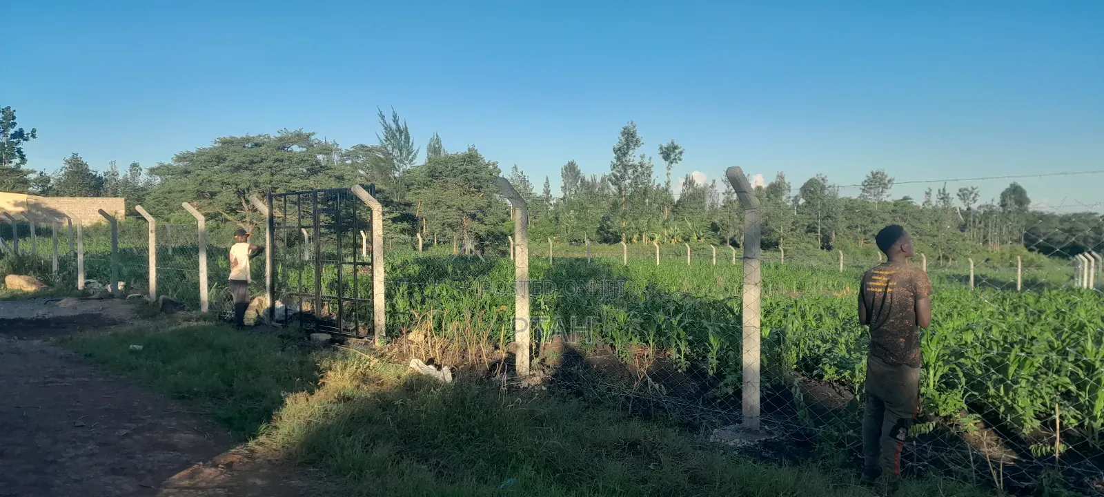 Eighth-Acre Plot at Thika Muthaara