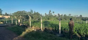 Eighth-Acre Plot at Thika Muthaara