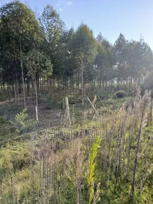 50x100 Plots in Naivasha Kirima Near Meriah Guest Houses