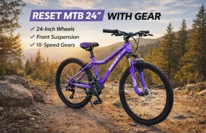 Reset MTB 24" Mountain Bike.