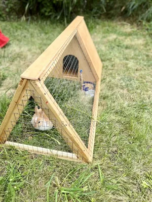 Cozy Critter/Rabbits Fence