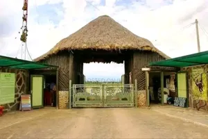 6 Acres Nanyuki Sweet Water Olopajeta Rongai Gate