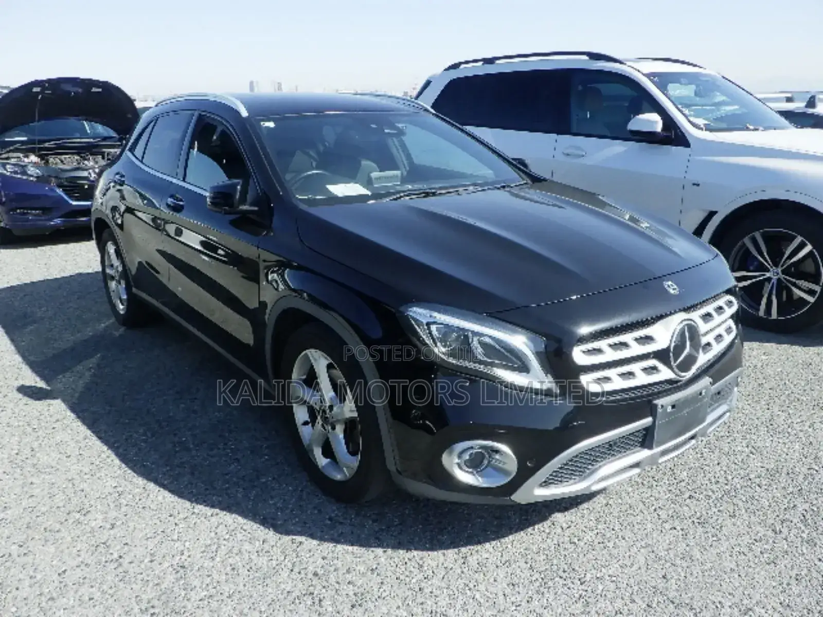 Motor Vehicle Import Service