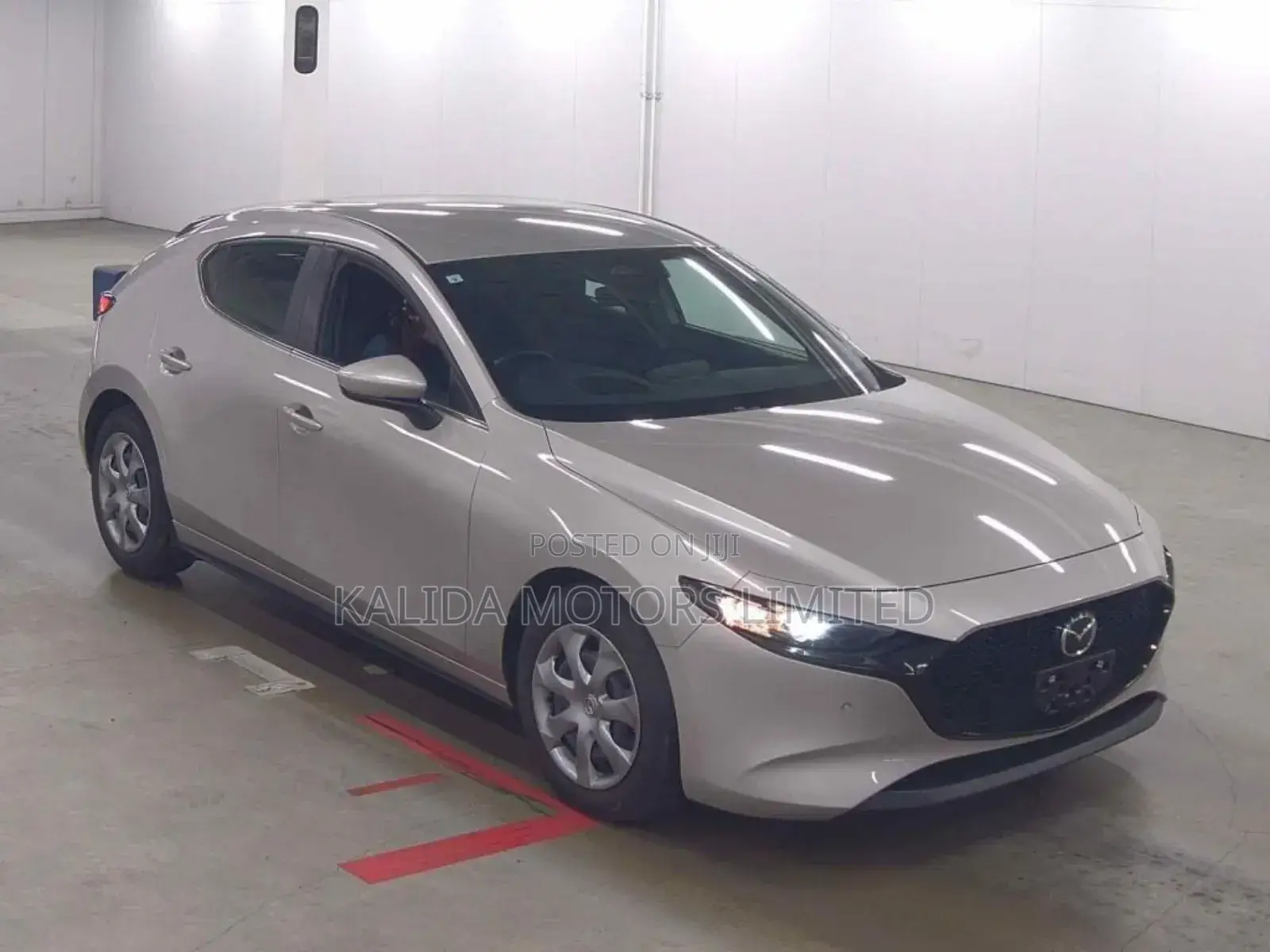 Motor Vehicle Import Service